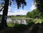 Previous image